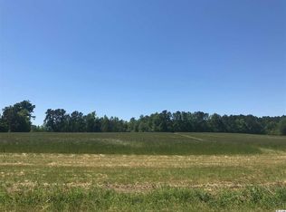 Dog Bluff Rd LOT 2, Galivants Ferry, SC 29544