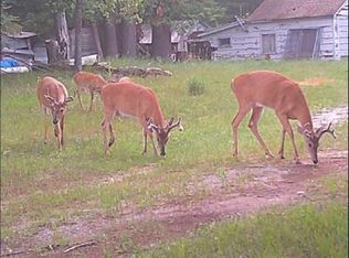 7363 Wegmeyer Rd, Herron, MI 49744