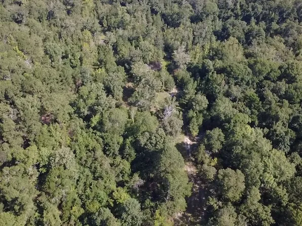 Us Highway 221 S, Kite, GA 31049