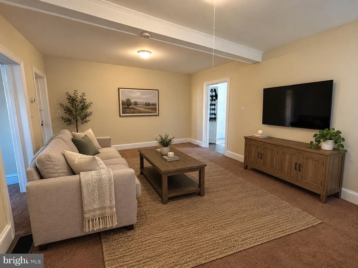 1 bed, 1.0 bath, 800 sqft, $1,350 — Photo 4