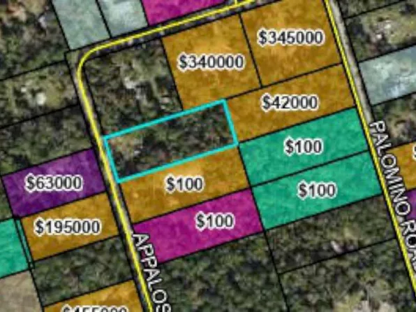 61 Appaloosa Rd, Crawfordville, FL 32327