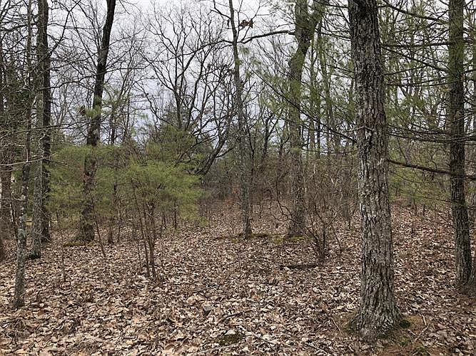2nd image of 149 Walden Ridge Dr