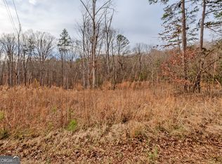 0 Andrews Subdivision LOT 5B-6-7, Lavonia, GA 30553