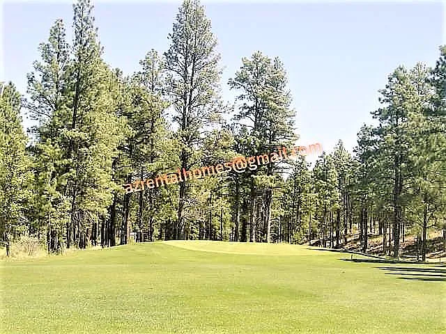 3421 Country Club Dr — Photo 10