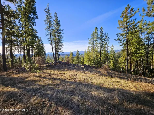 Nna Soaring Hawk Ln, Saint Maries, ID 83861