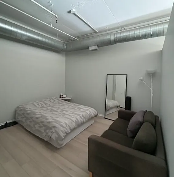 212 E Cullerton St #410 — Photo 6