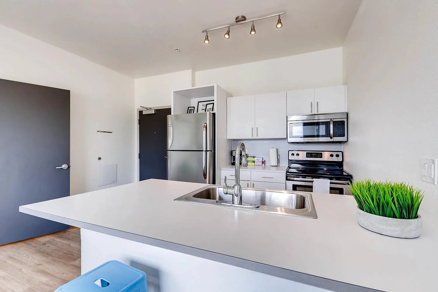 1 bed, 550 sqft, $1,525 — Photo 4