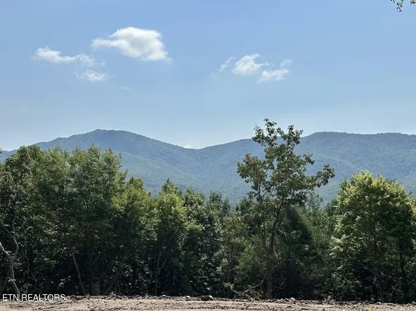 386 Harold Witt Rd, Tellico Plains, TN 37385