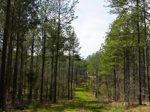 0 Beth Eden Rd, Newberry, SC 29108