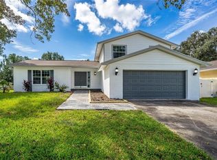15802 Deep Creek Ln, Tampa, FL 33624