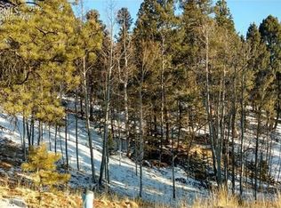 90 E Mariposa Cir, Cripple Creek, CO 80813
