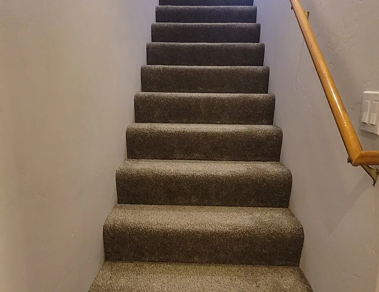 Stairs with new carpet