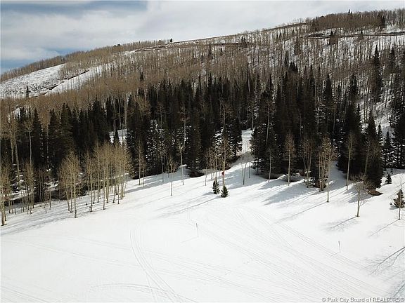 5th image of 264 White Pine Canyon Rd #264