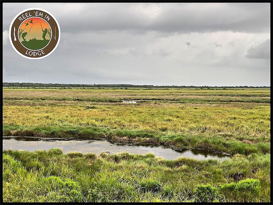 3513 Hopedale Hwy, Saint Bernard, LA 70085 Zillow