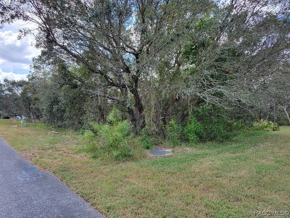 1st image of 20 Black Willow Ct N