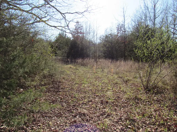 961 Tower Road, Marshfield, MO 65706