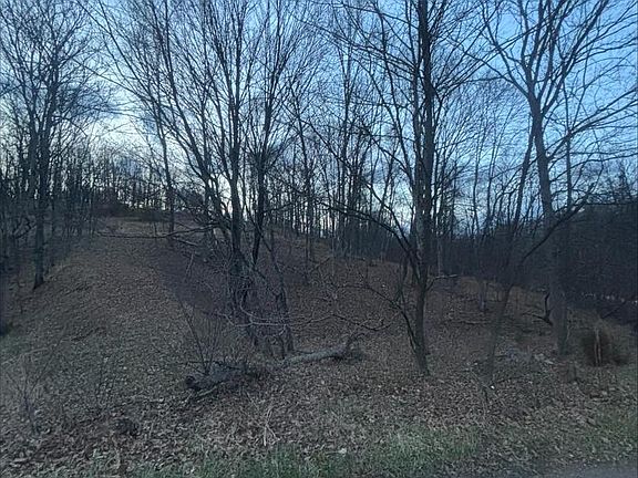 3rd image of Lost Run Rd