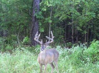 State Highway 28, Hazlehurst, MS 39083