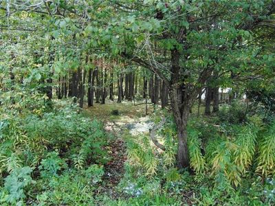 0 Chestnut St #95, Mount Jewett, PA, 16740
