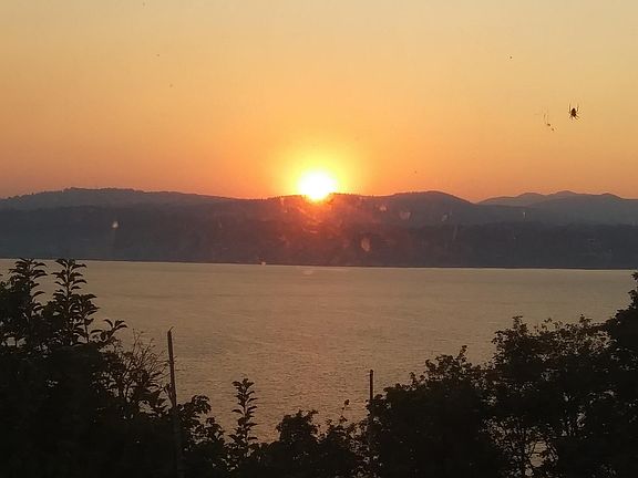 Beautiful morning sunrise!
