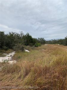 300 Drama Dr, Lake Placid, FL, 33852