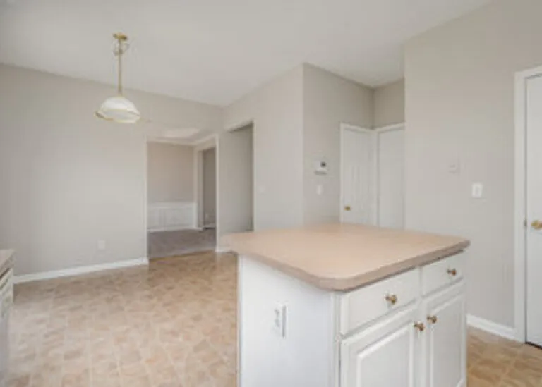 1231 Joannas Ct — Photo 12