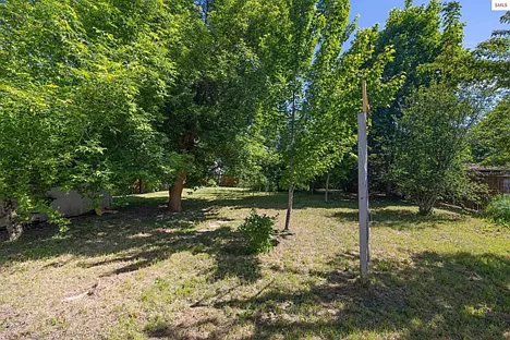Looking out at backyard (can see one of two tool sheds)