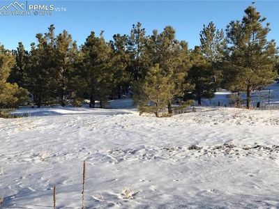 19305 Queens Crescent Way, Monument, CO, 80132