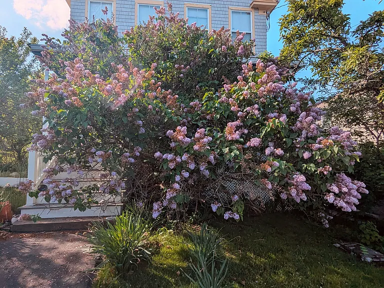 14 Highland Ave — Photo 12