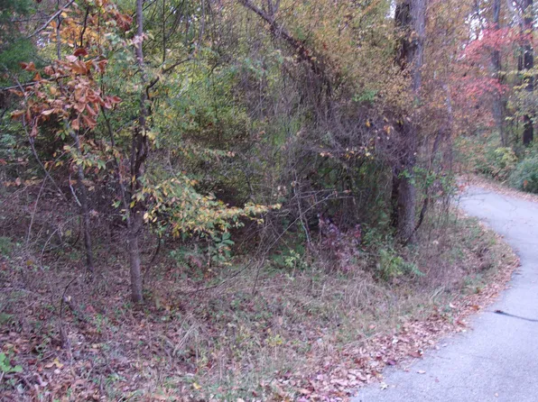 002-04257-504 Flint Dr, Lakeview, AR 72642