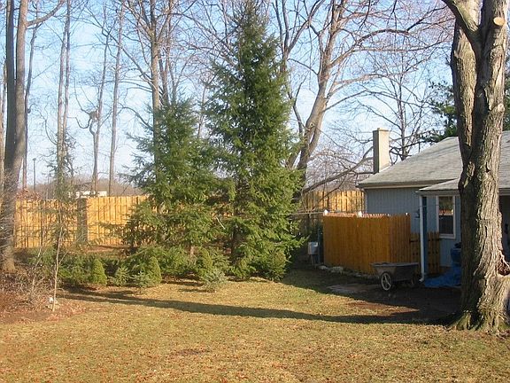 Back Yard View #2