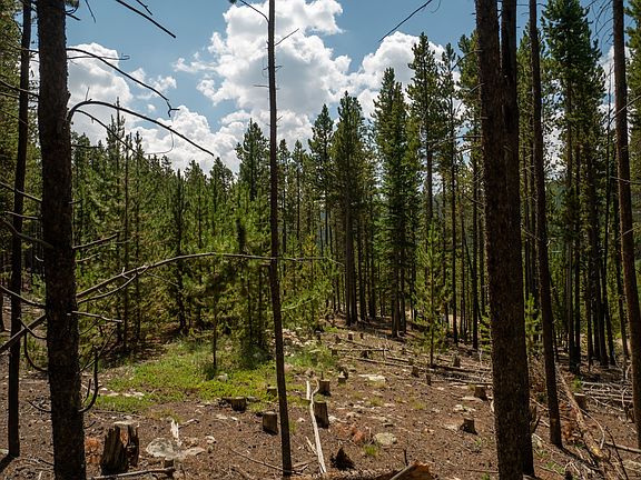 Partially cleared site