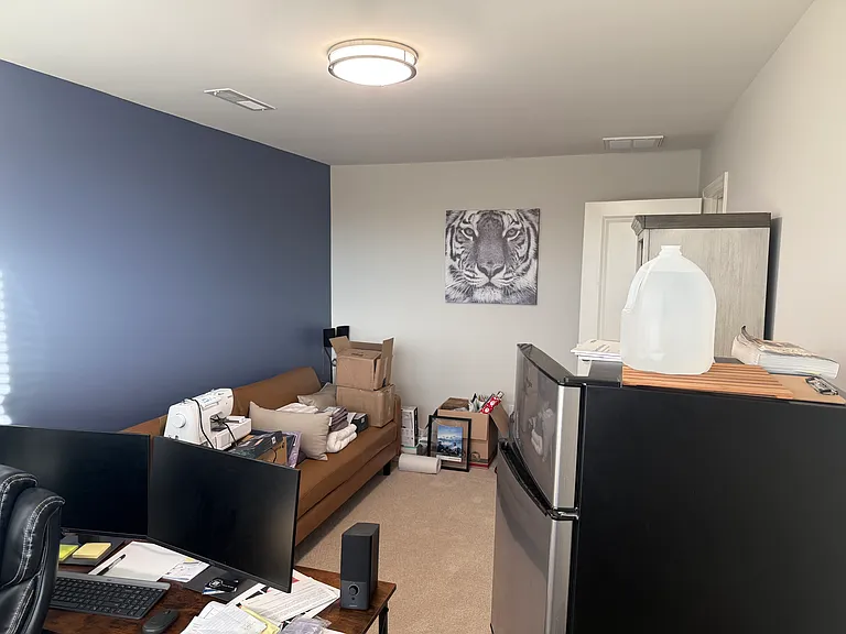 4th Bedroom (or office)