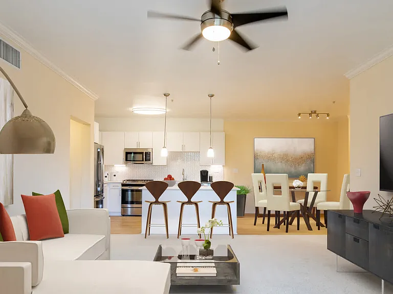 Living and Dining Room