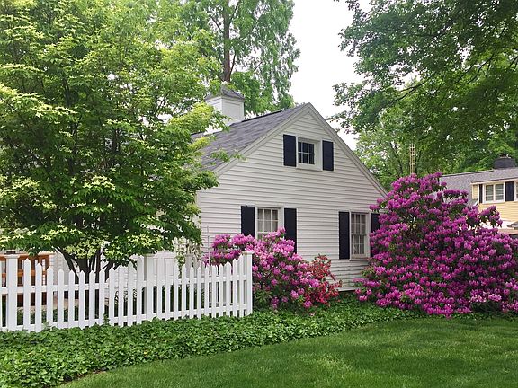 Front rhododendron (bloom)