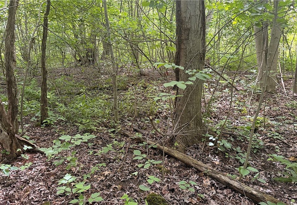 1st image of Ninevah Rd