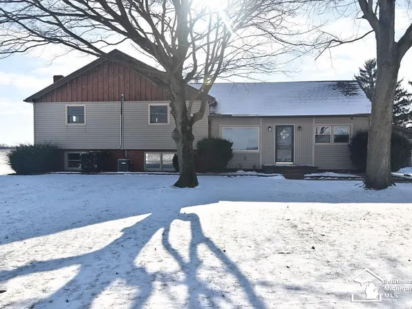 16525 Day Rd, Dundee, MI 48131