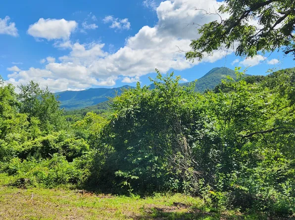 Thomas Cross Rd, Sevierville, TN 37876