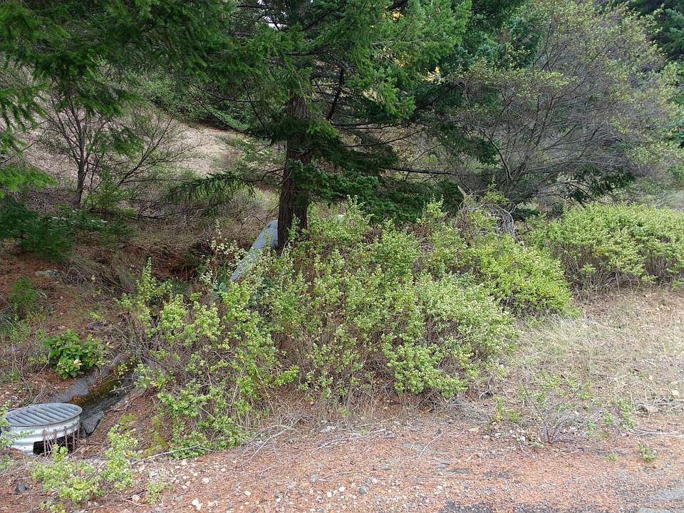 2nd image of 855 Blueridge Rd