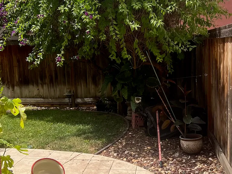 2143 Prato St — Photo 17