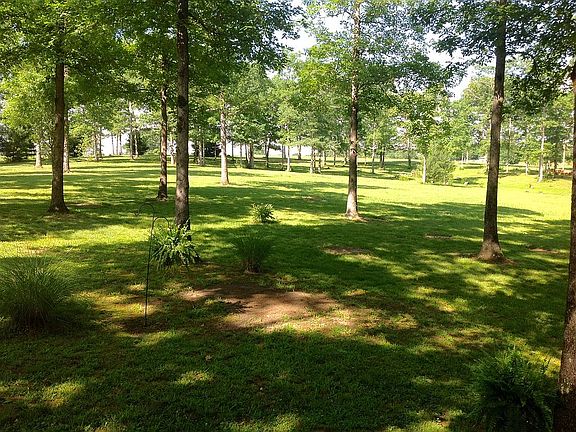 view from front porch