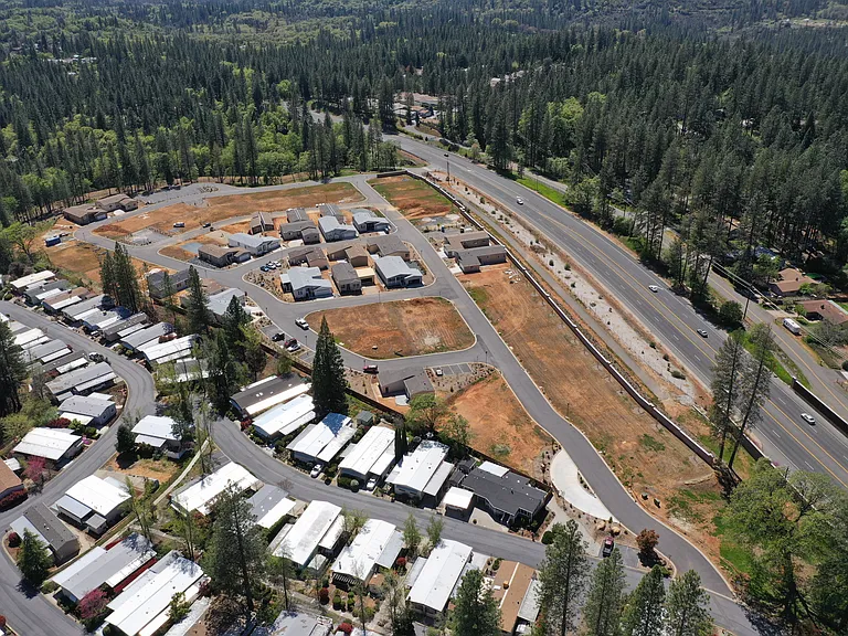 Forest Springs — Photo 1