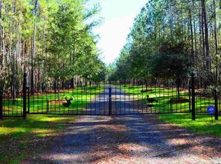 1148 Trio Rd, Andrews, SC 29510