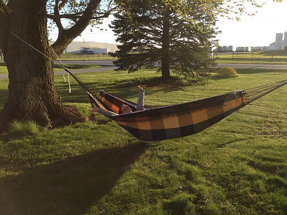 Front trees perfect hammock