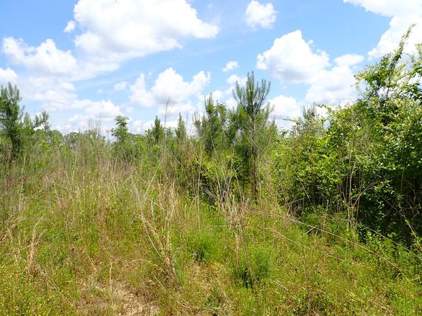 0 Allenton Rd, Pine Apple, AL 36768