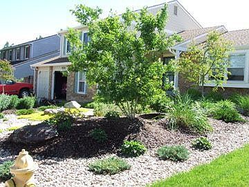 Front Yard 2008