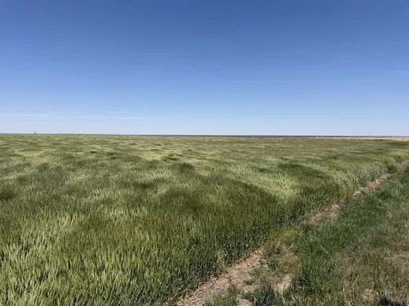 0 E Road 250, Dighton, KS 67839