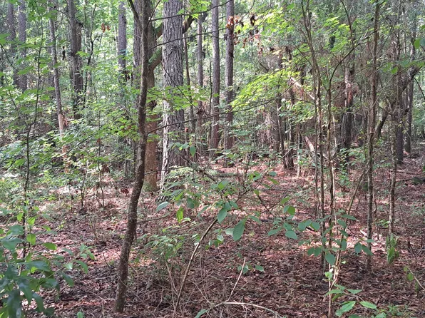 1 Forever Eclipse Ln, Cross, SC 29436