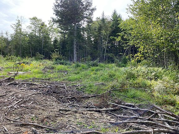 5th image of Lot128C Love Lake Road