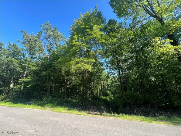 Gibbs Rd, Andover, OH 44003